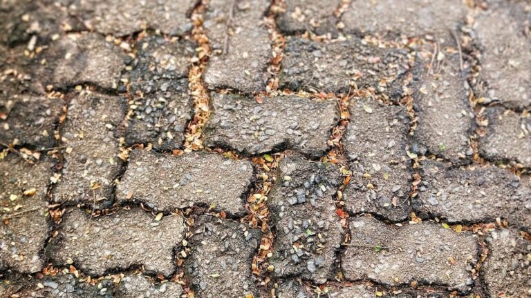 gartenpapst.de-gartentipps26