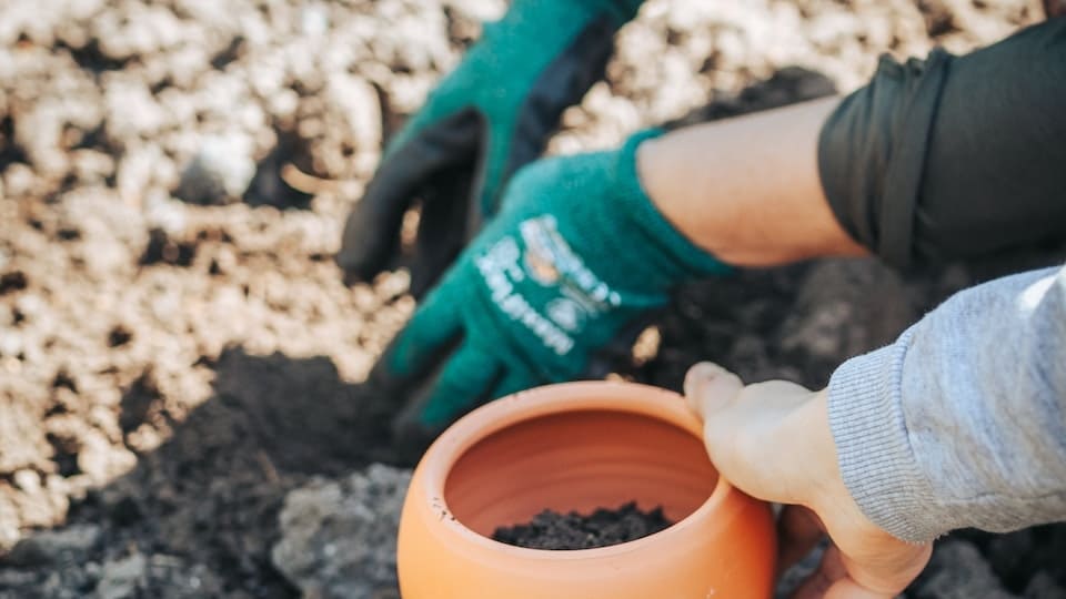 gartenpapst.de-gartentipps46