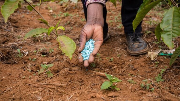 gartenpapst.de-gartentipps59