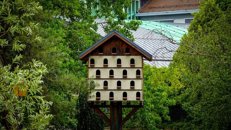 gartenpapst.de