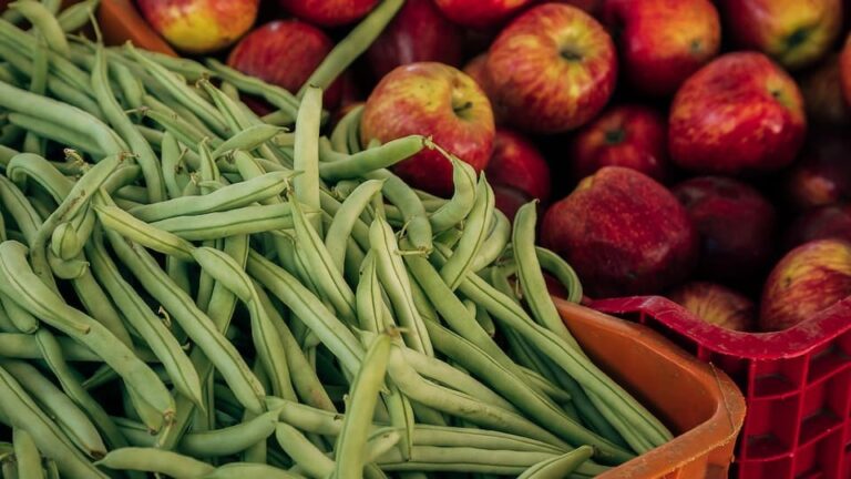 Buschbohnen Der ideale Einstieg für Gartenanfänger