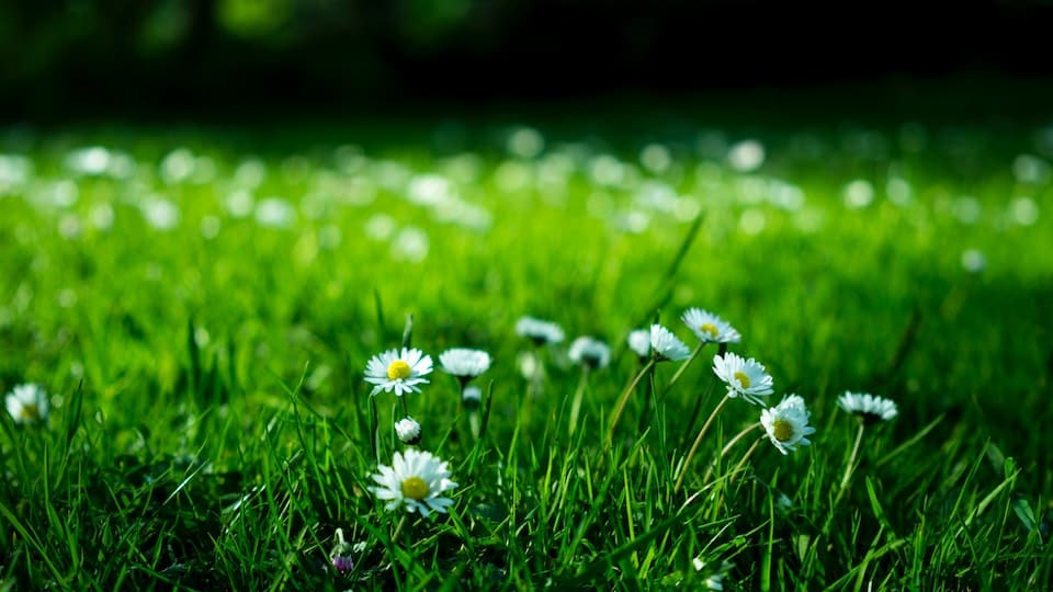 Gartenrollsiebe elektrisch oder mechanisch - hilft im Garten beim Kompostieren