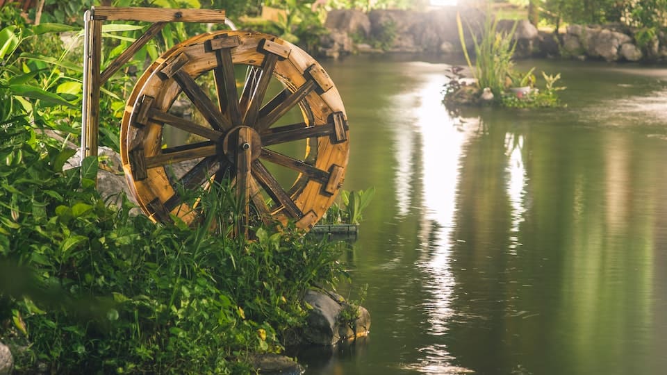 Sonnenbarsch ein prächtiger, scheuer, umgänglicher Raubfisch, der in jedem Teich auffällt