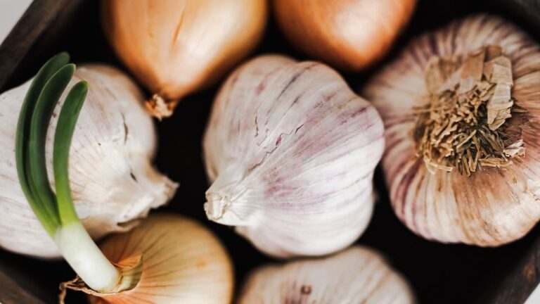 Wie gewinnt man Zwiebelsamen