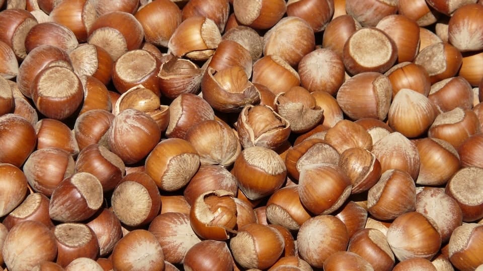 gartenpapst.de-gartentipps-0008