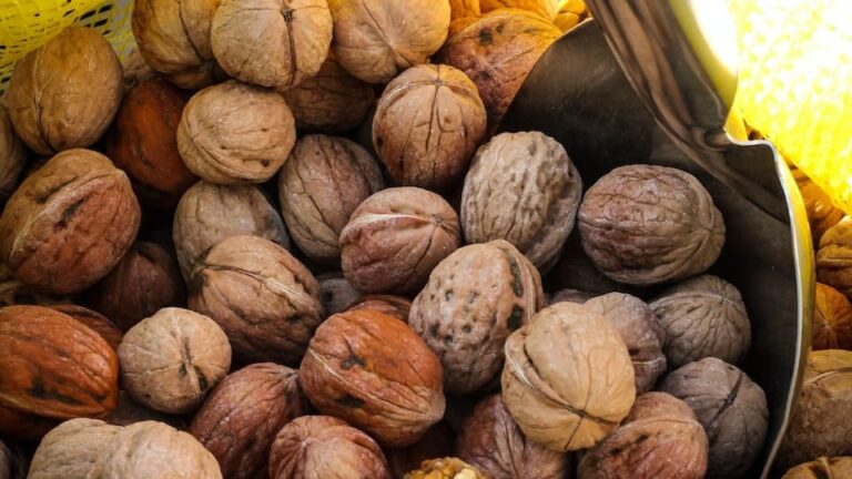 gartenpapst.de-gartentipps-0013