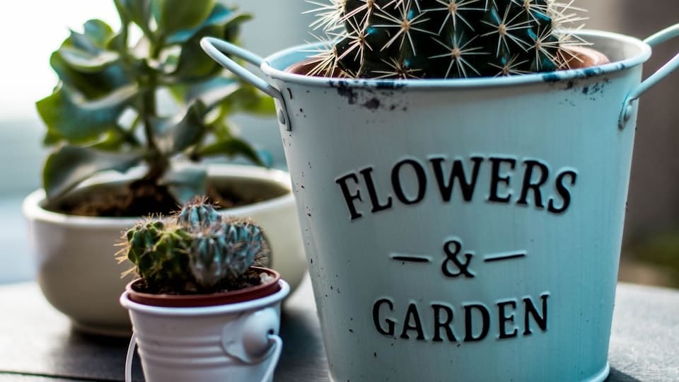 gartenpapst.de-gartentipps-0028