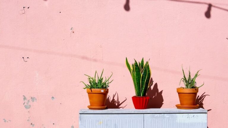 gartenpapst.de-gartentipps-0031