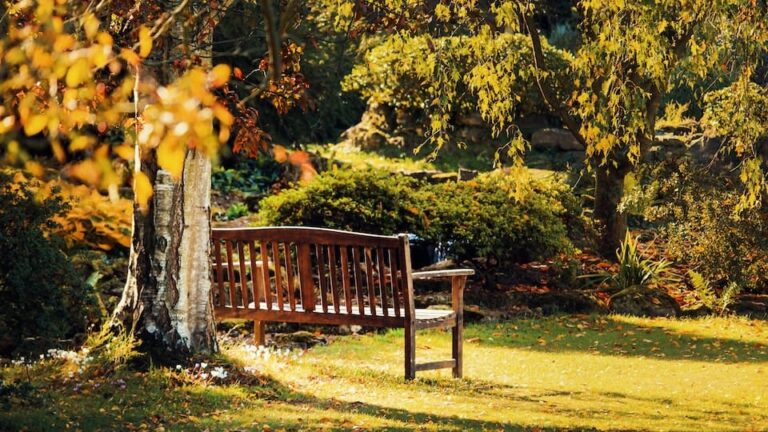 Bananenbank 2-oder 3-Sitzer, Massivholz, ergonomisch geschwungenes Design - elegantes Highlight im Garten