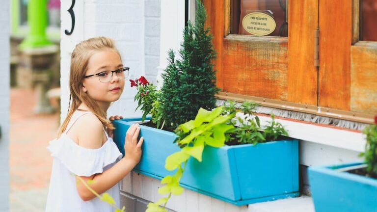 Blumenkästen für die Hauswand mit Absturzsicherung