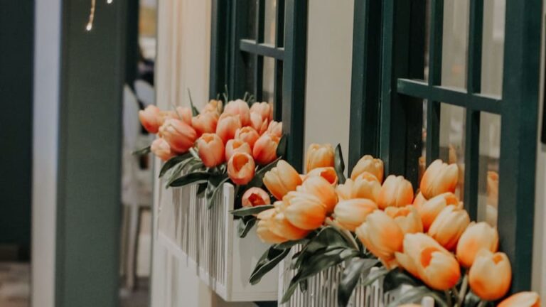 Blumenkästen: inkl. Wasserspeicher, Ablaufsystem, integrierter Wasserstandsanzeige