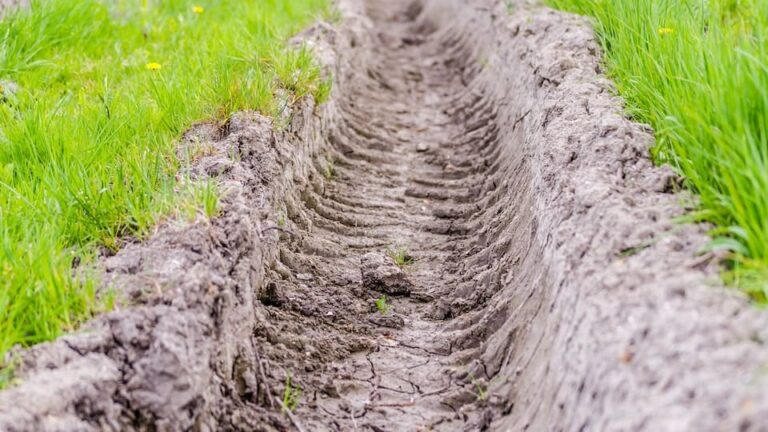 Düngestäbchen: konzentrierte Nährstoffe mit Langzeitwirkung für Blumen, Grünpflanzen und Gemüse