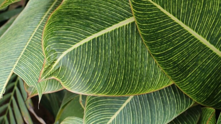 Gibt es Wachstumsverlangsamer für Pflanzen