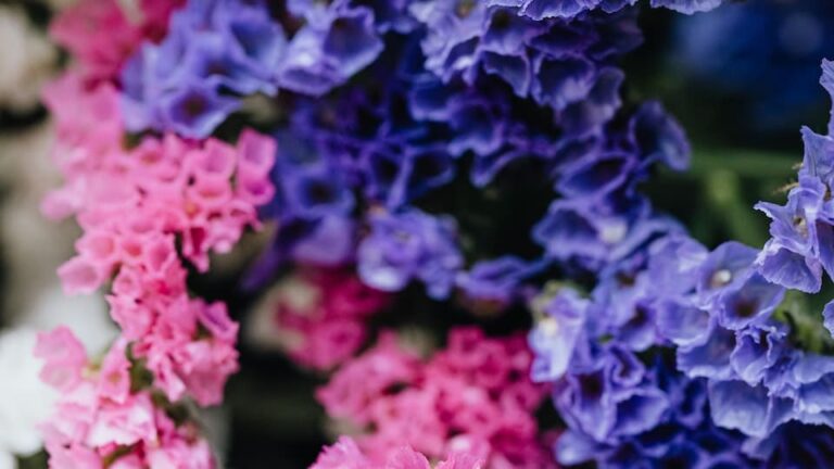 Hortensien werden von Grauschimmel, Mehltau, Blattläusen und der Blattfleckenkrankheit befallen was kann ich tun