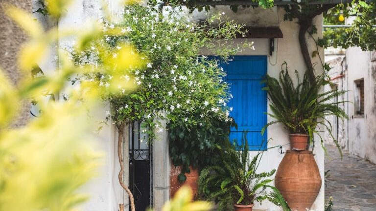 Kann das Anbinden an eine Rankhilfe der Pflanze schaden?