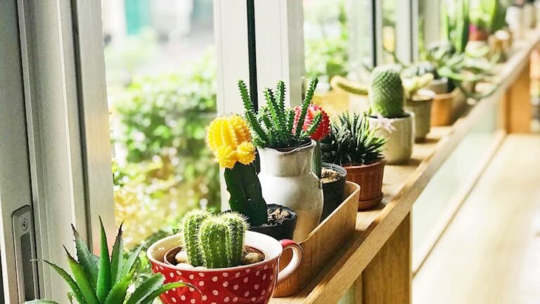 Regenrinnen-Pflanztöpfe: Worauf ist beim Kauf unbedingt zu achten und wie bringe ich sie sicher an?