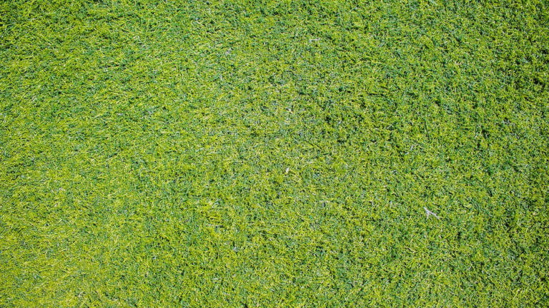 Rollrasen nicht billig aber ideal für alle, die es eilig haben - die Schnell-Lösung