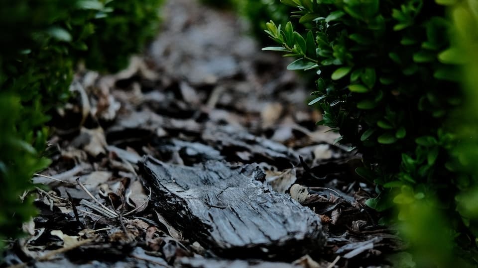 Wofür brauche ich im Garten ein Mulchvlies und woraus besteht es?