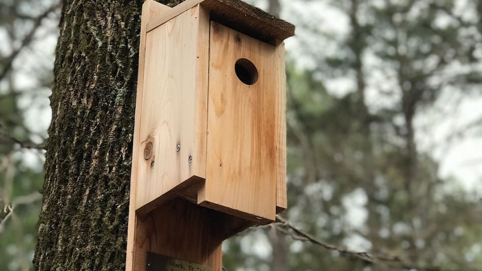 Vogelhaus neben Gemüsebeet Wo sollte ein Vogelhaus aufgestellt werden