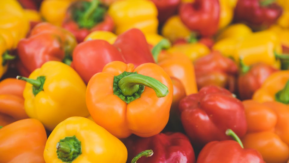 Paprika im Freien pflanzen Kann man Paprika direkt im Freiland einpflanzen Lösung
