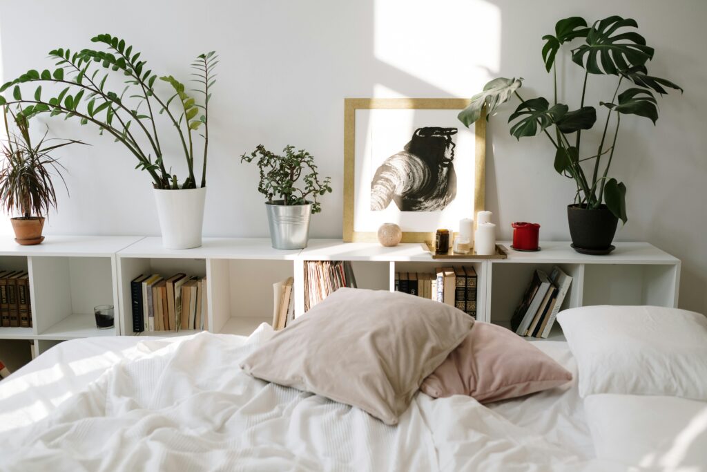 Welche Pflanzen fürs Schlafzimmer sind die besten? gartenpapst.de