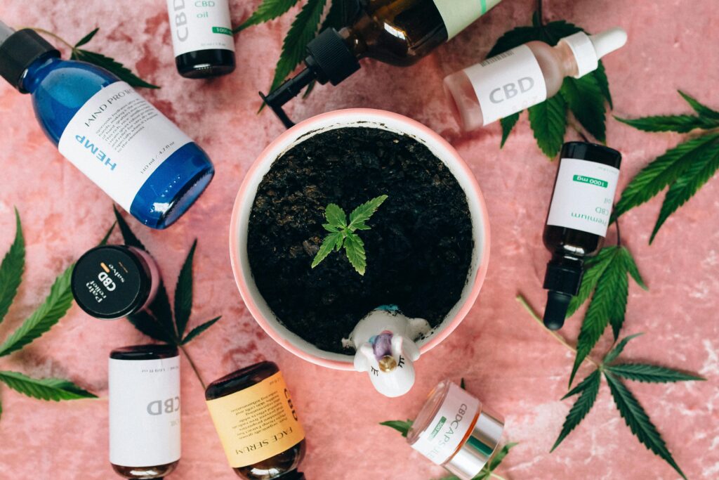 Wann sollte man eine Cannabis-Pflanze umtopfen?