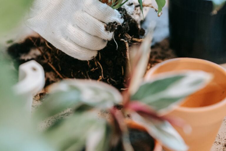 Blumenkasten hält nicht richtig am Geländer