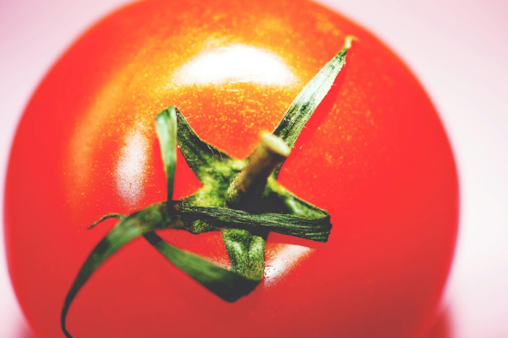 Tomatenblätter rollen sich nach oben
