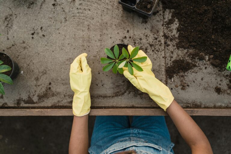 Gartenhandschuhe reißen zu schnell