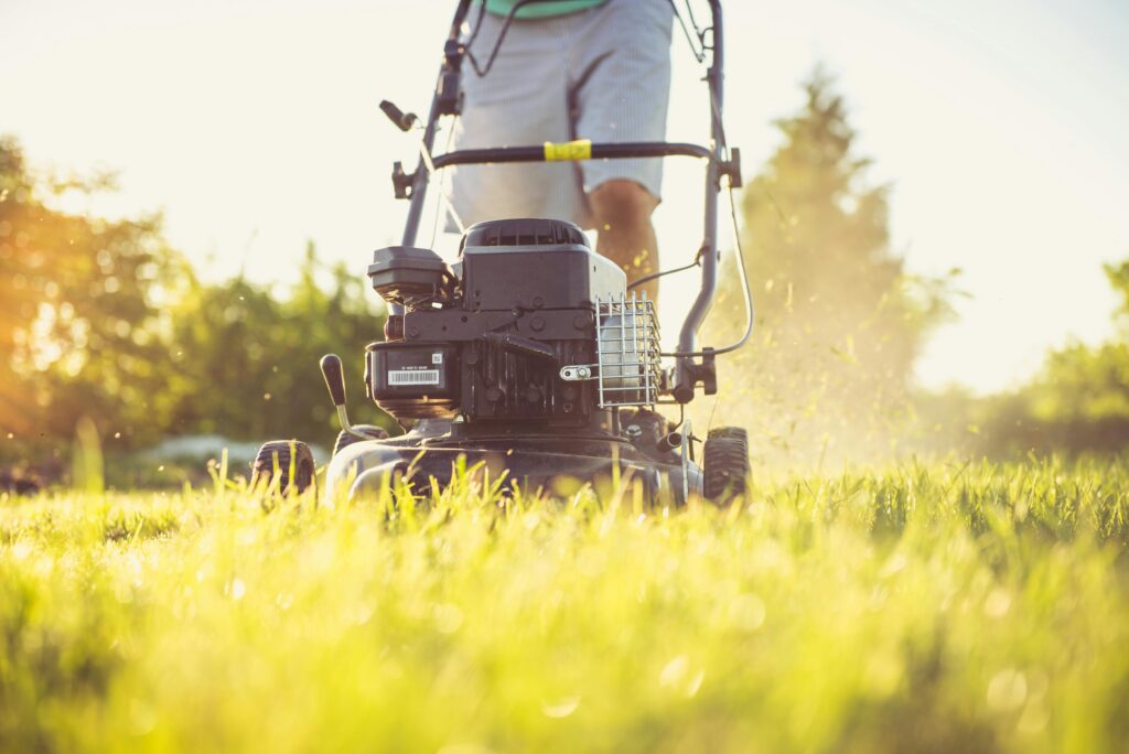 Mähroboter bleibt an kleinen Steinen hängen