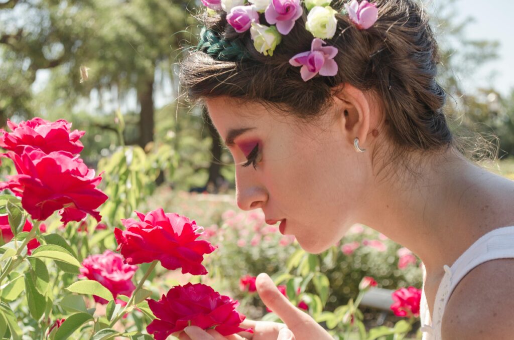 Rosen bekommen gelbe Blätter nach Regen