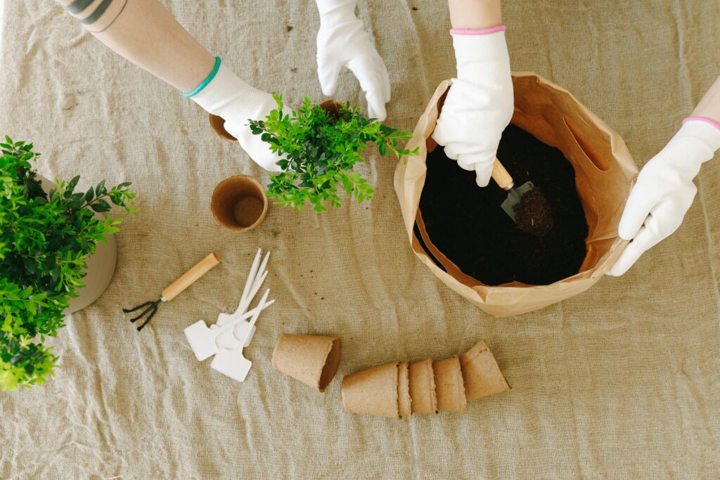 Blumenerde zieht Fruchtfliegen an