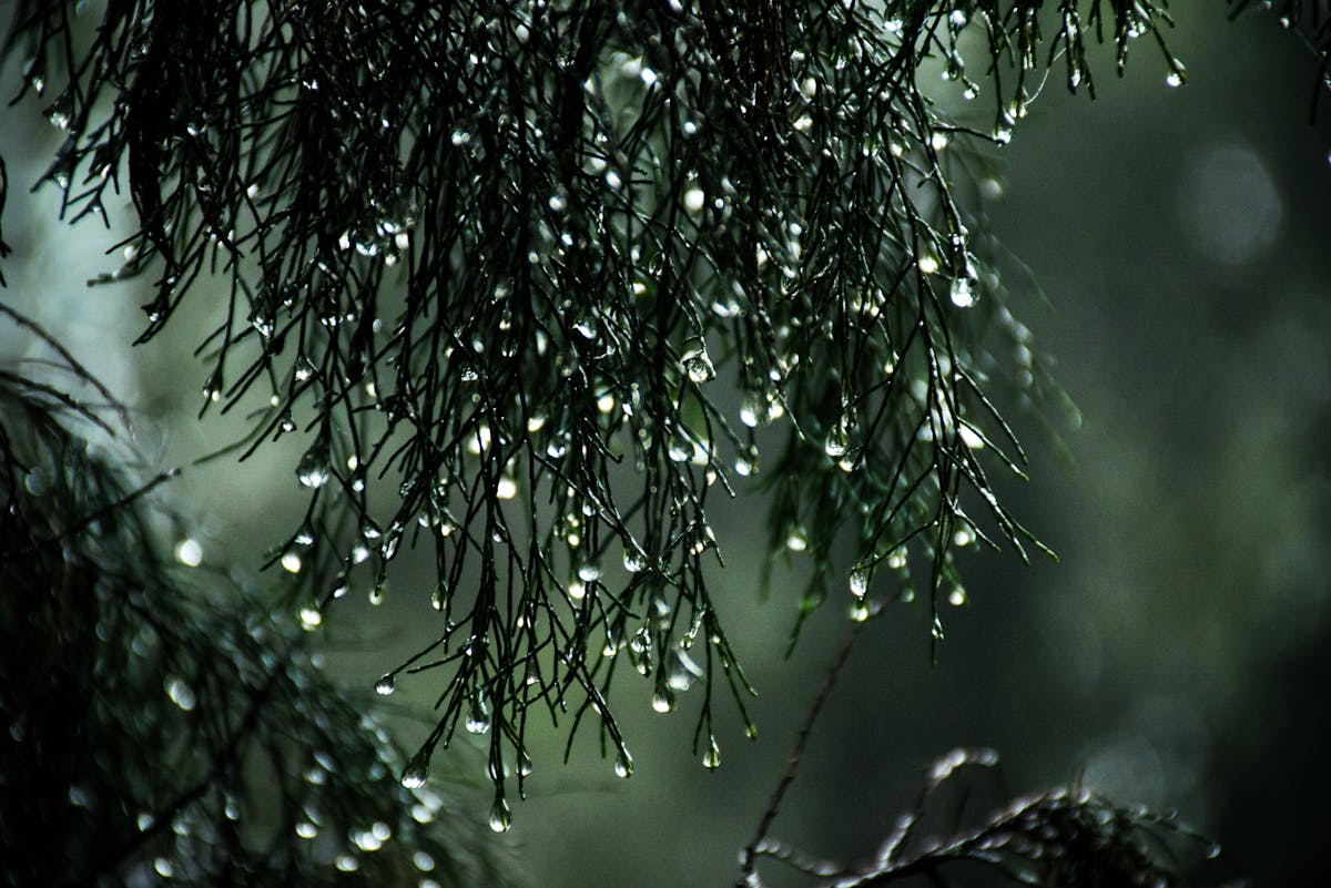 Balkonboden wird rutschig bei Regen