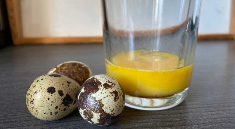 Hühnerei-Allergie Wachteleier!