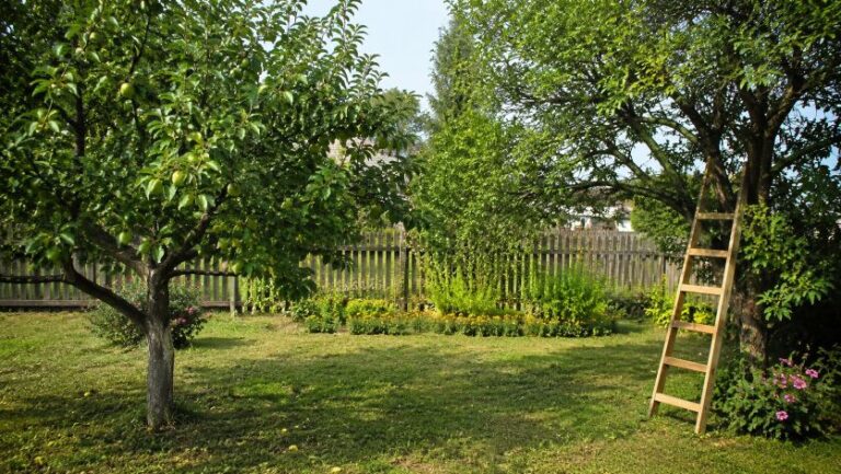 Beet am Terrassenrand planen: Duft, Blüte und Sichtschutz klug verbinden