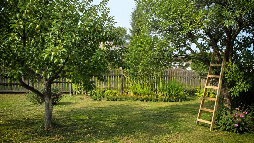 Beet am Terrassenrand planen: Duft, Blüte und Sichtschutz klug verbinden