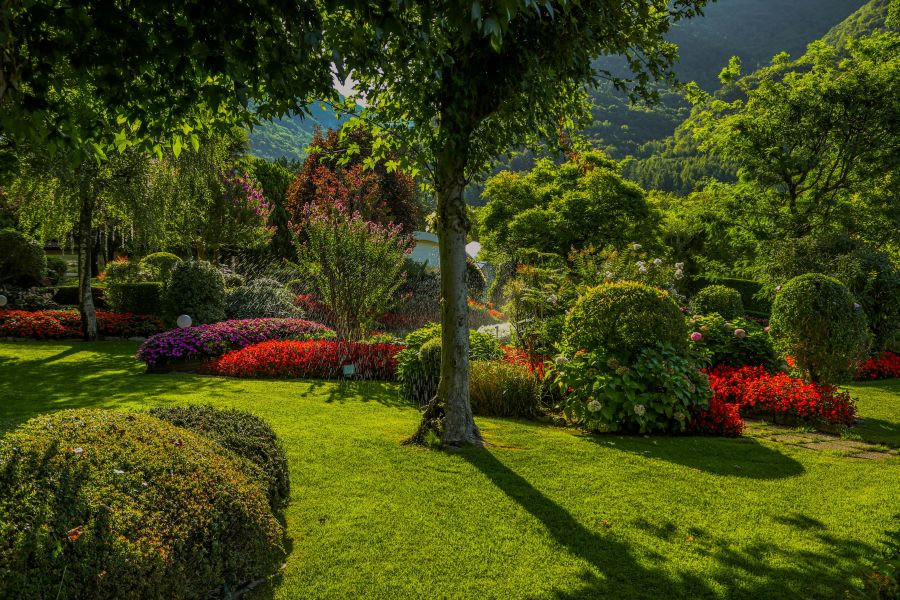 Windschneisen im Garten vermeiden: Hecken und Elemente richtig platzieren