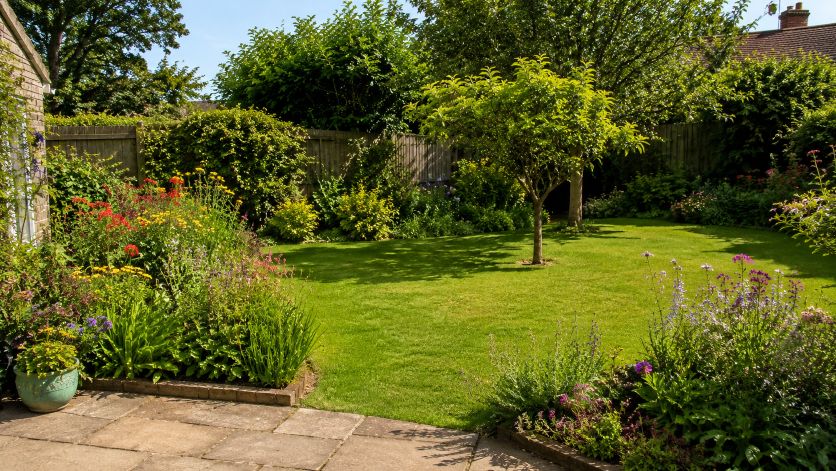 Bergenien im Garten: Robuste Blattschmuckstauden mit früher Blüte