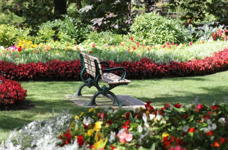Sommerblumen fallen auseinander: Stützen, Schnitt und Standort verbessern 3 Sommerblumen fallen auseinander: Stützen, Schnitt und Standort verbessern