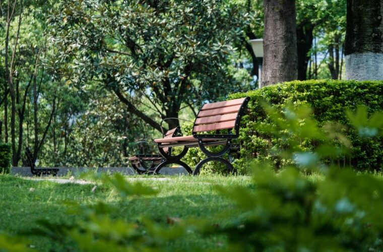 Zisterne im Garten einbauen: Kosten, Größe und mögliche Ersparnis 3 Zisterne im Garten einbauen: Kosten, Größe und mögliche Ersparnis