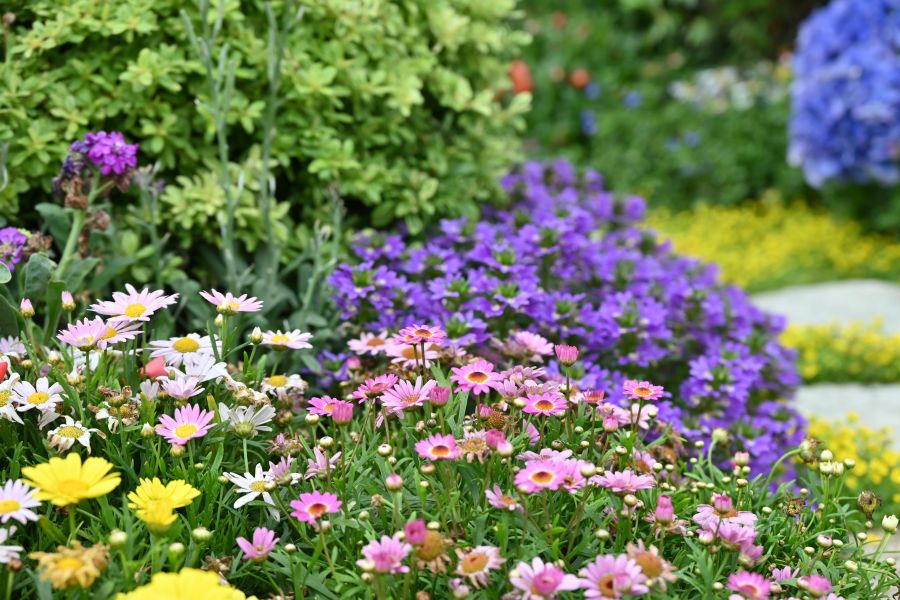 Pflanztöpfe kippen ständig um – die besten Lösungen für Balkon und Garten
